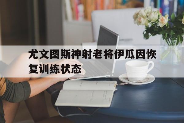 金年会app下载-尤文图斯神射老将伊瓜因恢复训练状态